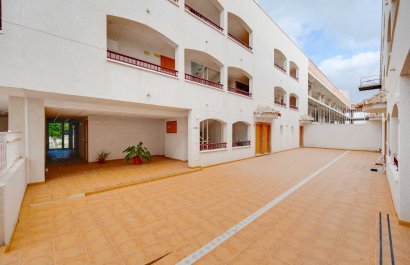 Apartamento - Obra nueva - San Fulgencio -
                San Fulgencio