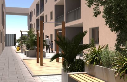 Apartamento - Obra nueva - San Miguel de Salinas -
                San Miguel de Salinas