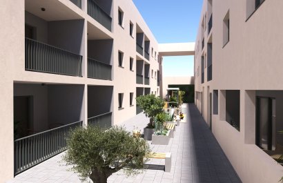 Apartamento - Obra nueva - San Miguel de Salinas -
                San Miguel de Salinas