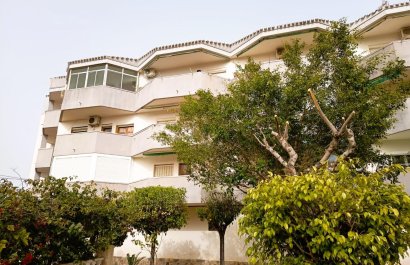 Apartamento - Reventa - Orihuela Costa -
                La Regia