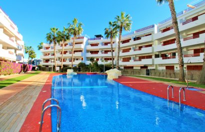 Apartment - Resale - Playa Flamenca - Playa Flamenca