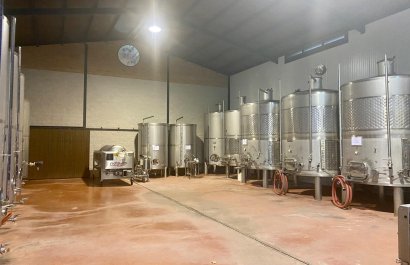 Bodega - Reventa - Albacete - Albacete