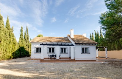 detached - Nieuwbouw Woningen - Fuente Alamo - Fuente Alamo