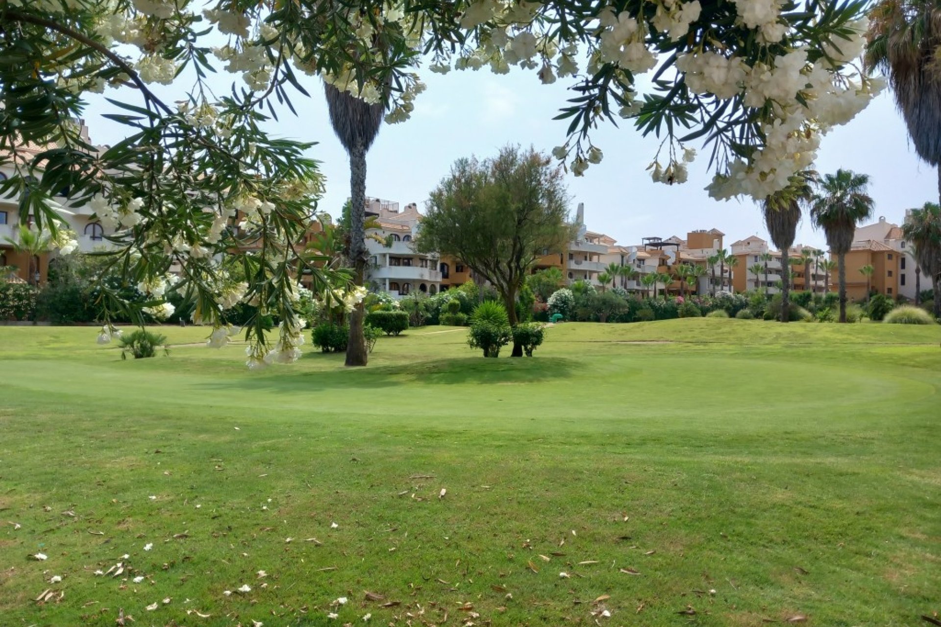 Herverkoop - Apartment -
Punta Prima