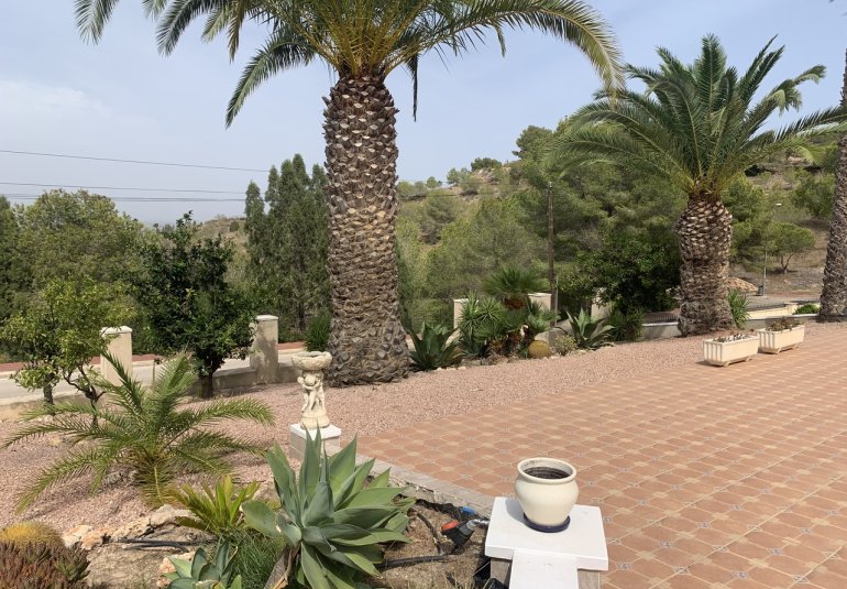 Herverkoop - Villa -
Algorfa (montemar)