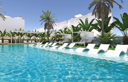 high-bungalow - New Build - Torre de la Horadada -
                Torre de la Horadada