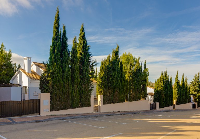 Nieuwbouw Woningen - detached -
Fuente Alamo