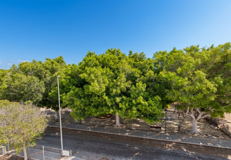 Nieuwbouw Woningen - detached -
Pilar de la Horadada