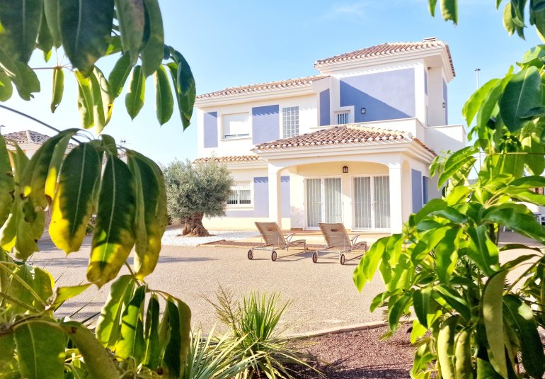 Nieuwbouw Woningen - detached -
Purias