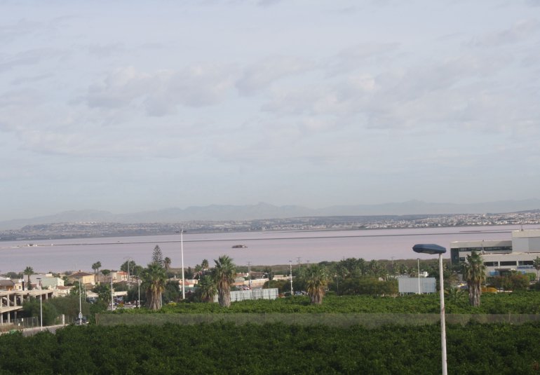 Nieuwbouw Woningen - terraced -
Torrevieja