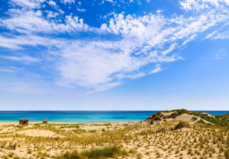 Obra nueva - Adosado -
Capdepera - Mallorca