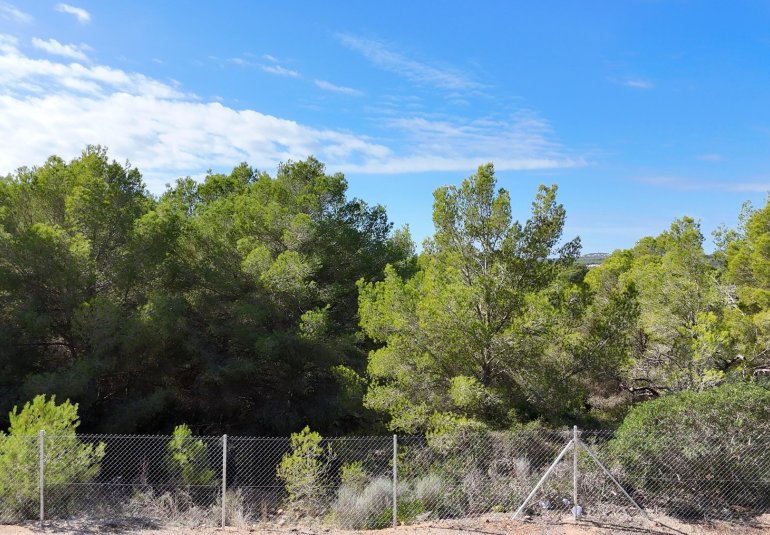 Obra nueva - Parcela / Terreno -
Calviá - Mallorca