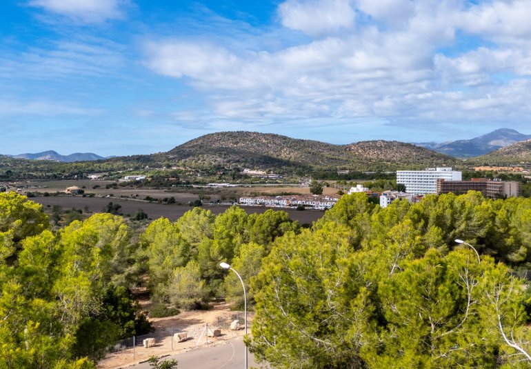 Obra nueva - Parcela / Terreno -
Calviá - Mallorca