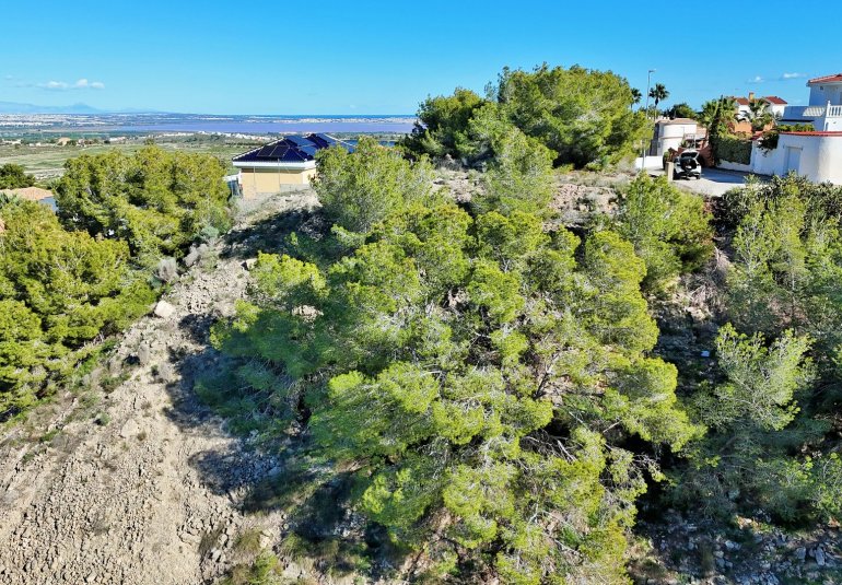 Reventa - Parcela / Terreno -
San Miguel de Salinas