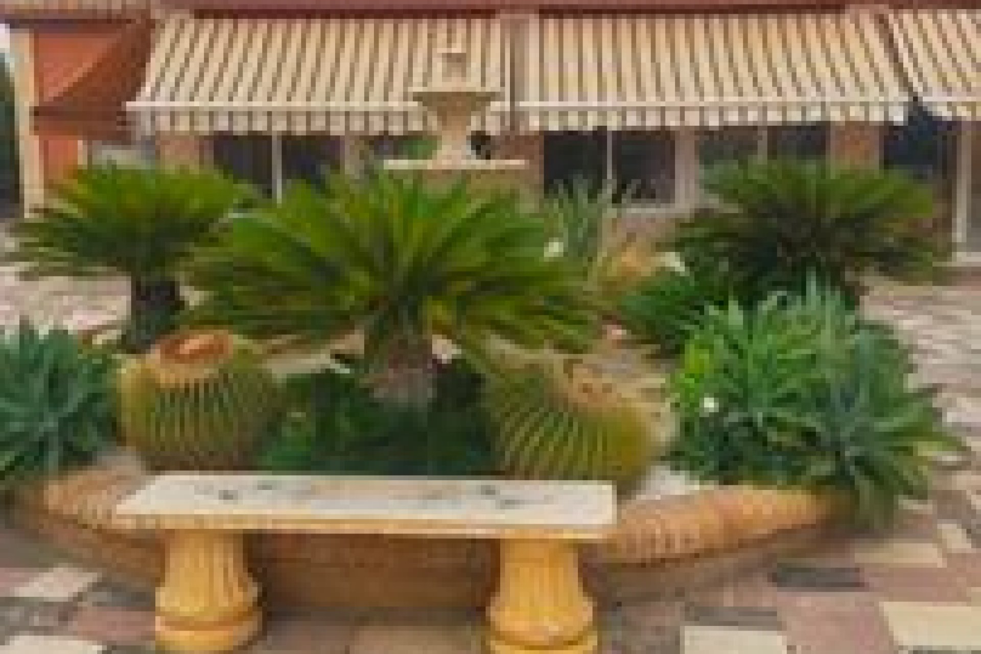 Reventa - Villa -
Elche