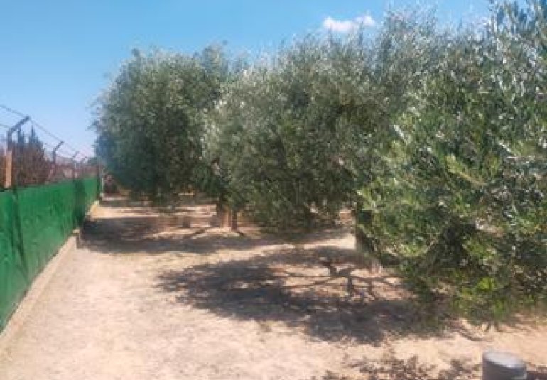 Reventa - Villa -
Elche