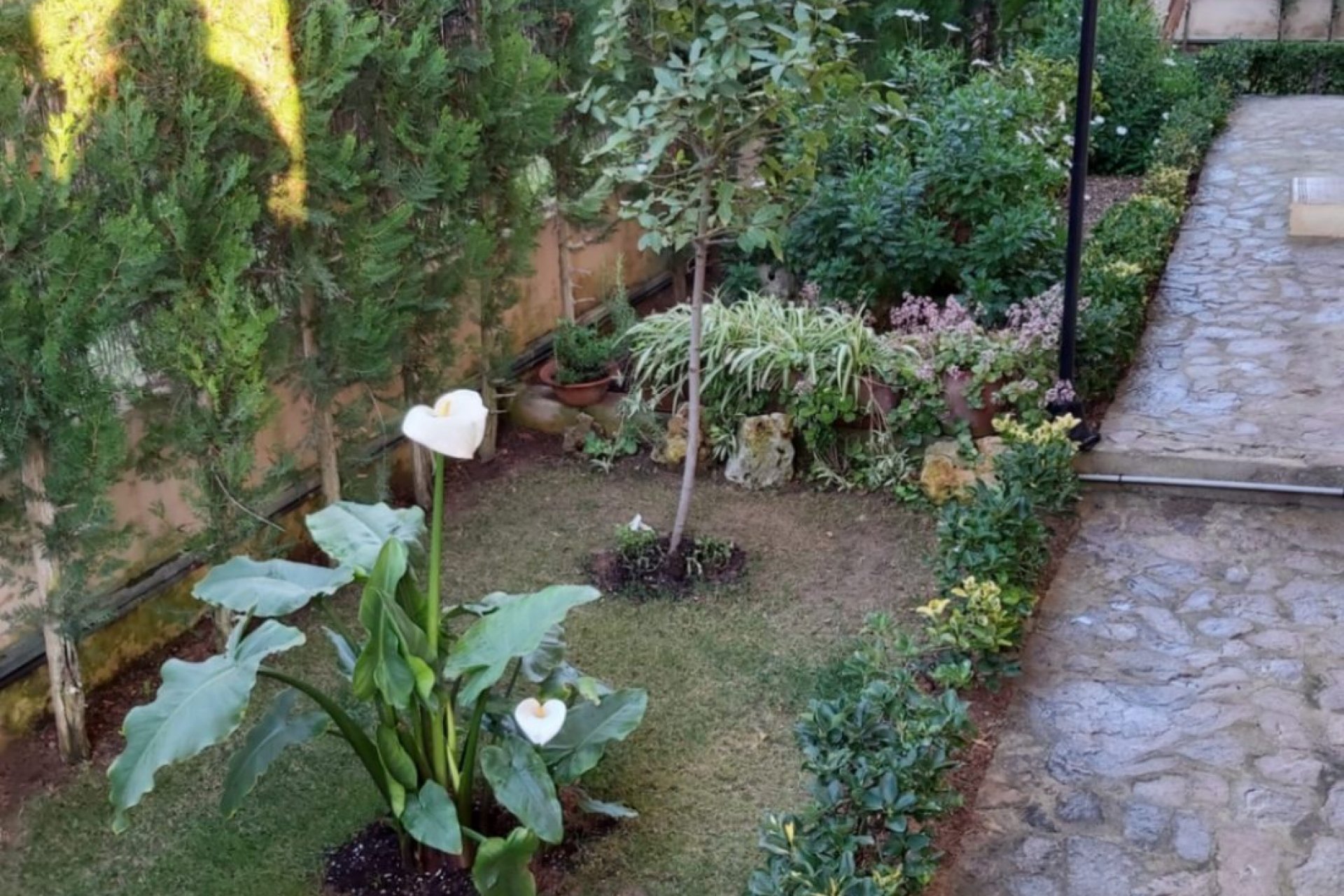 Reventa - Villa -
Marrachí - Mallorca