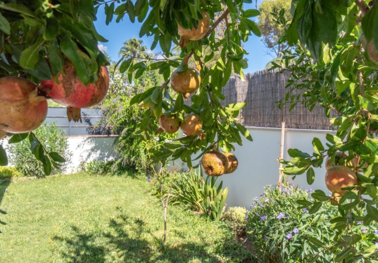 Reventa - Villa -
Marrachí - Mallorca