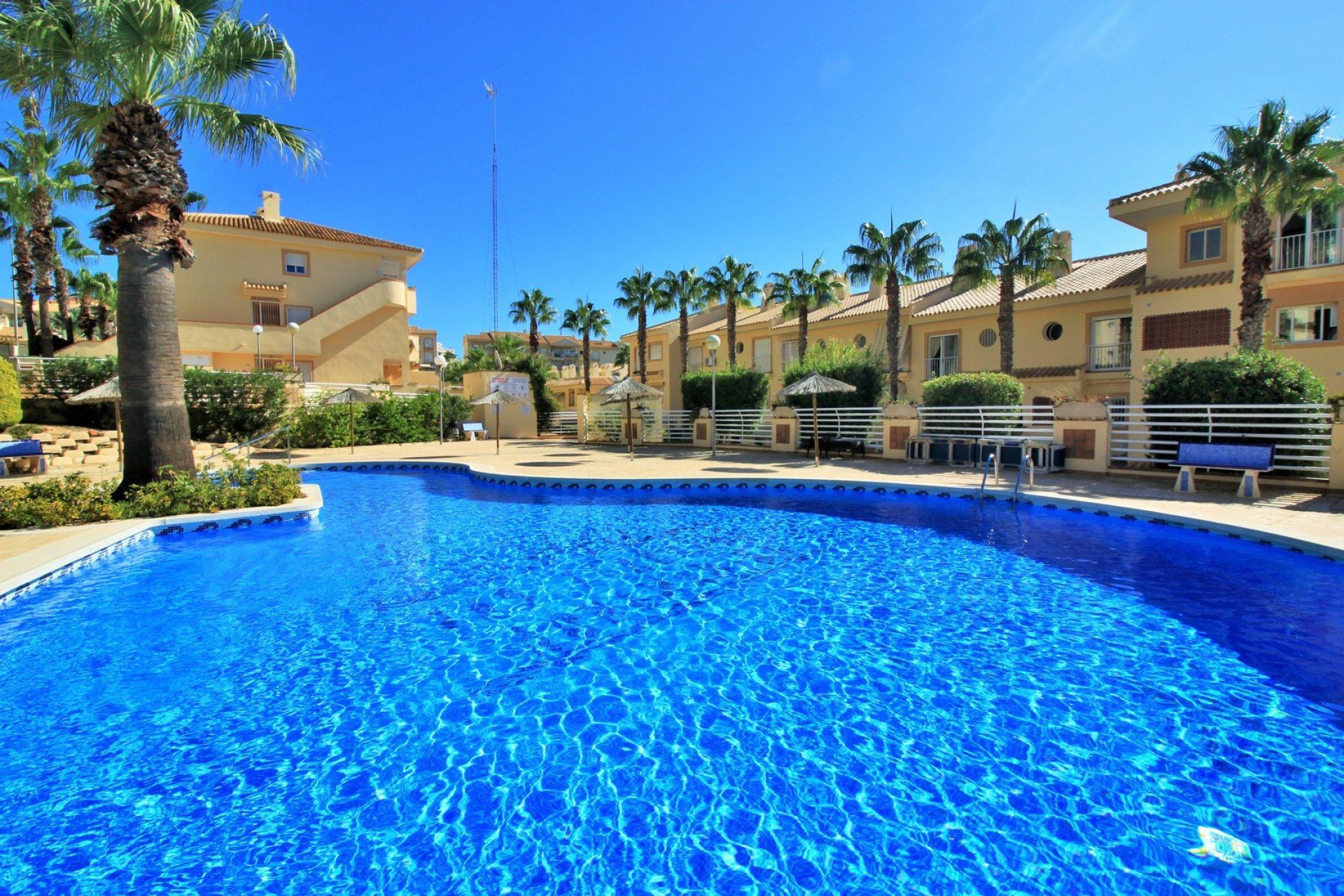 Revente - Apartment -
Cabo Roig