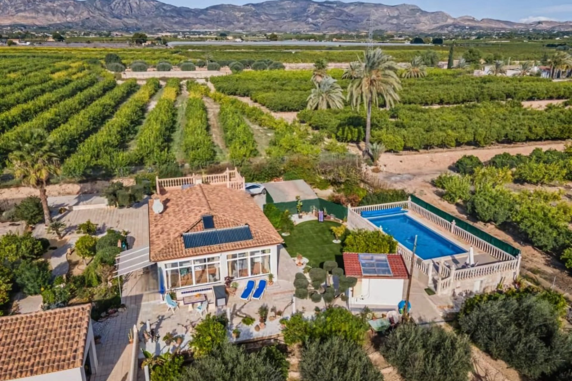 Revente - Country House -
Albatera