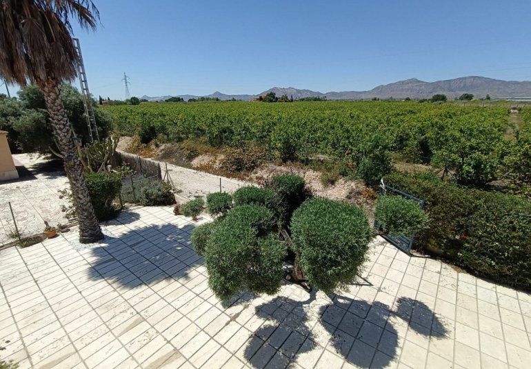 Revente - Country House -
Albatera