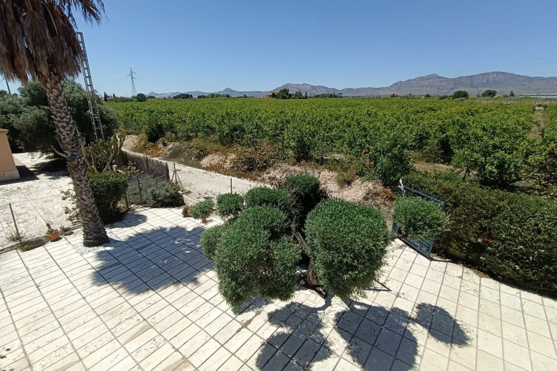 Revente - Country House -
Albatera