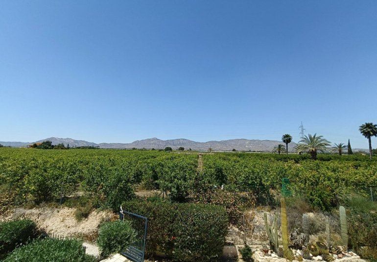 Revente - Country House -
Albatera