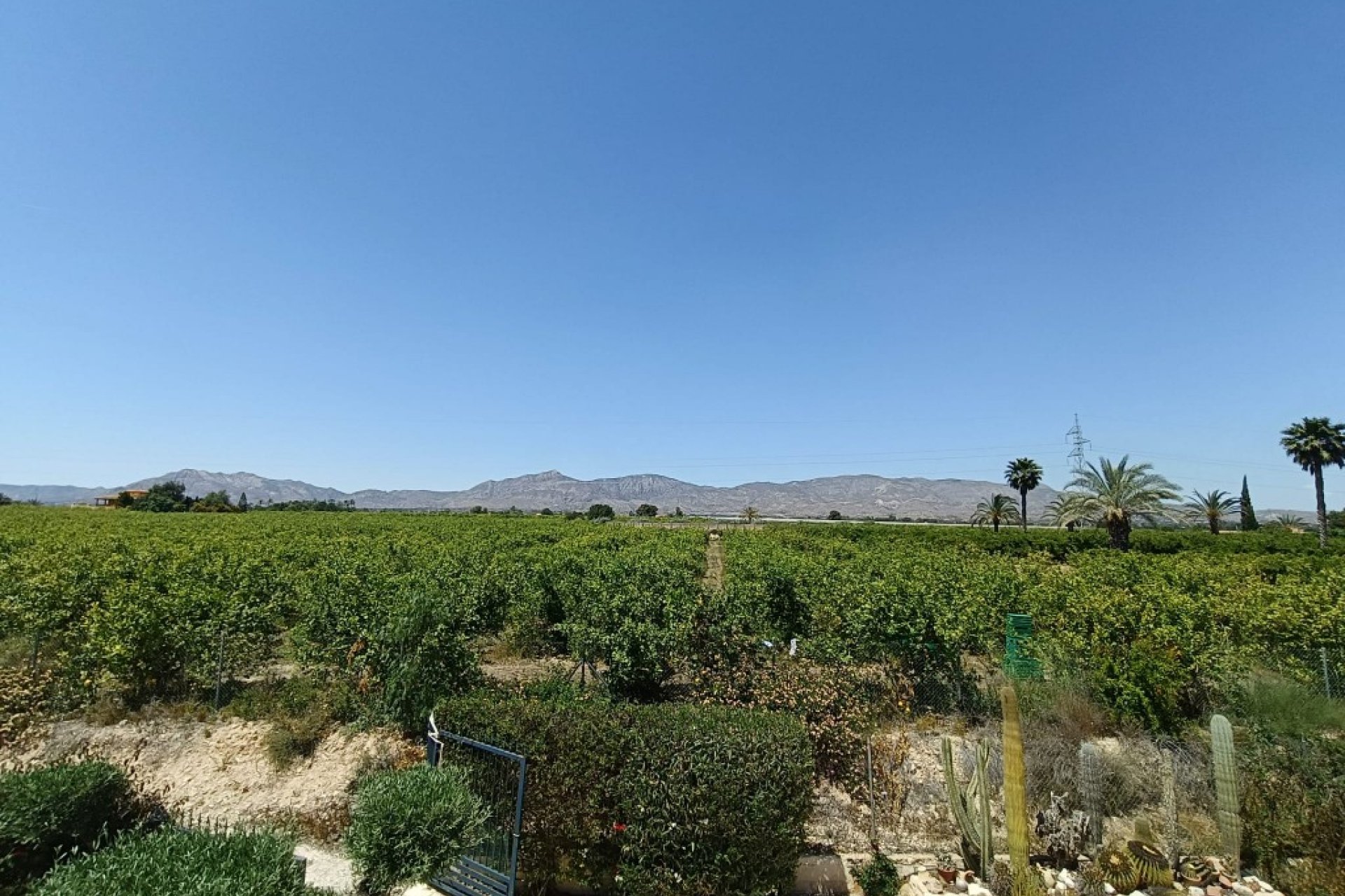 Revente - Country House -
Albatera