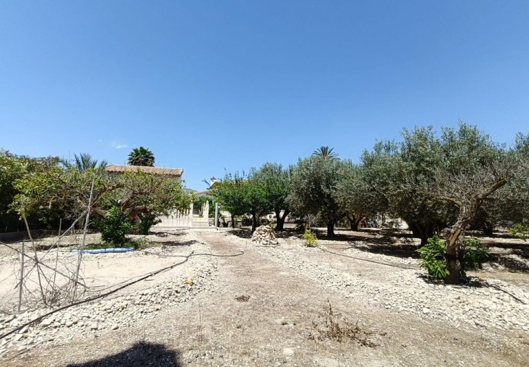 Revente - Country House -
Albatera