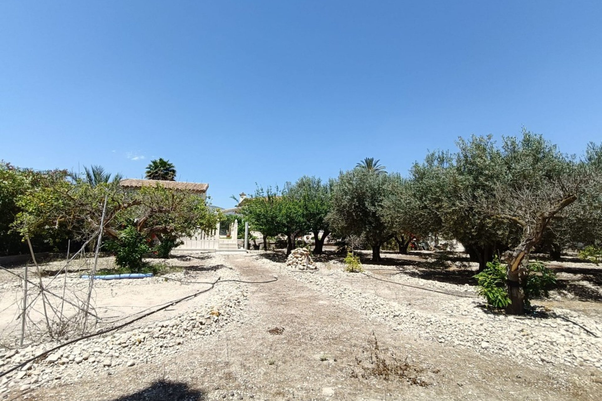 Revente - Country House -
Albatera