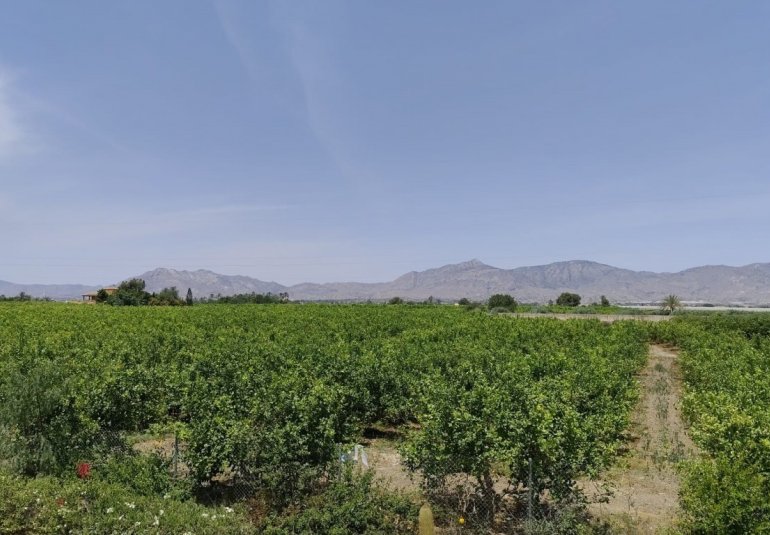 Revente - Country House -
Albatera