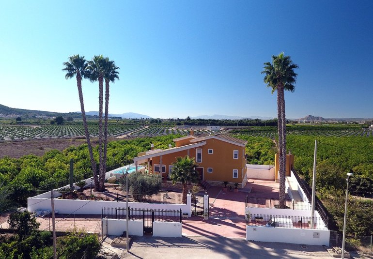 Revente - Finca -
Orihuela