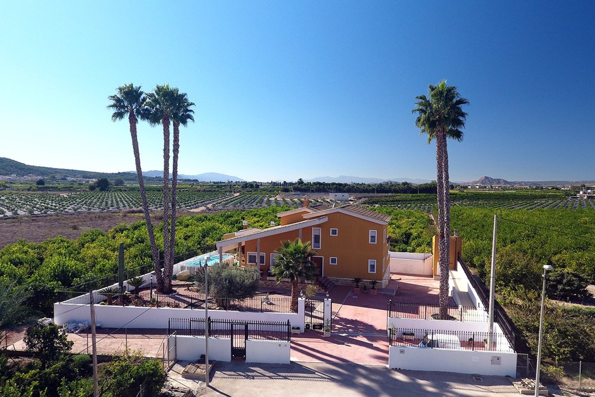 Revente - Finca -
Orihuela
