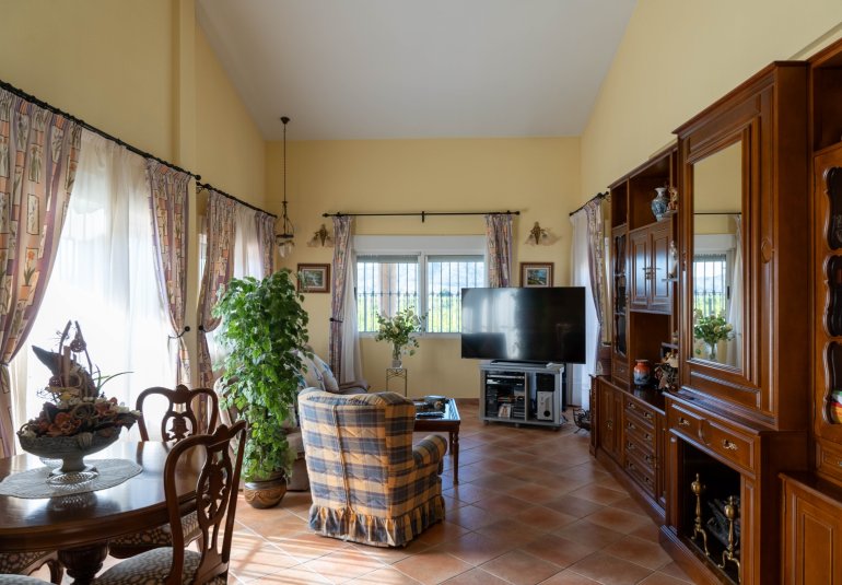 Revente - Finca -
Orihuela