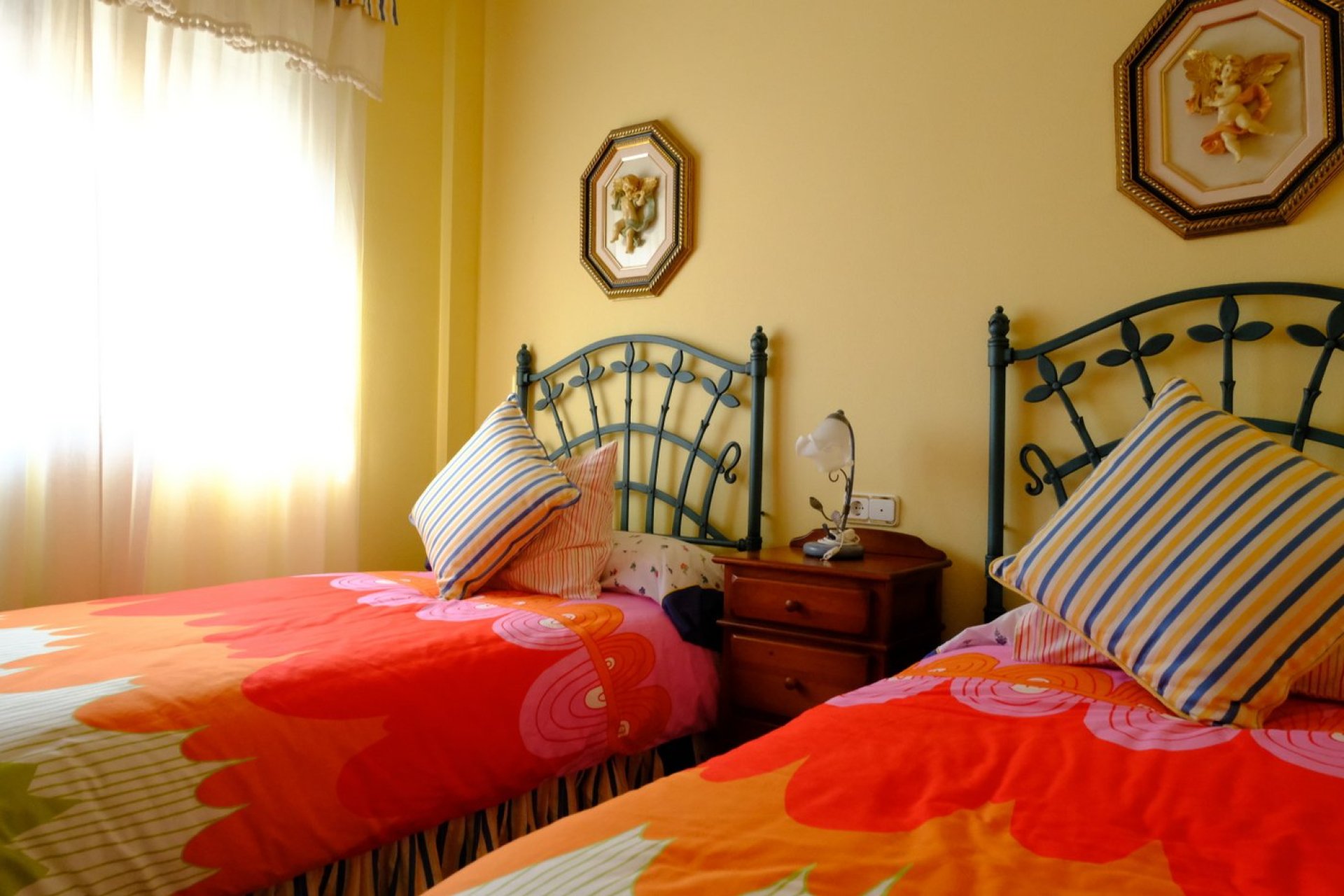 Revente - Finca -
Orihuela