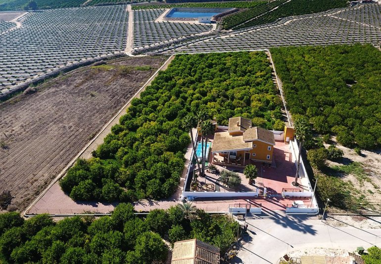 Revente - Finca -
Orihuela