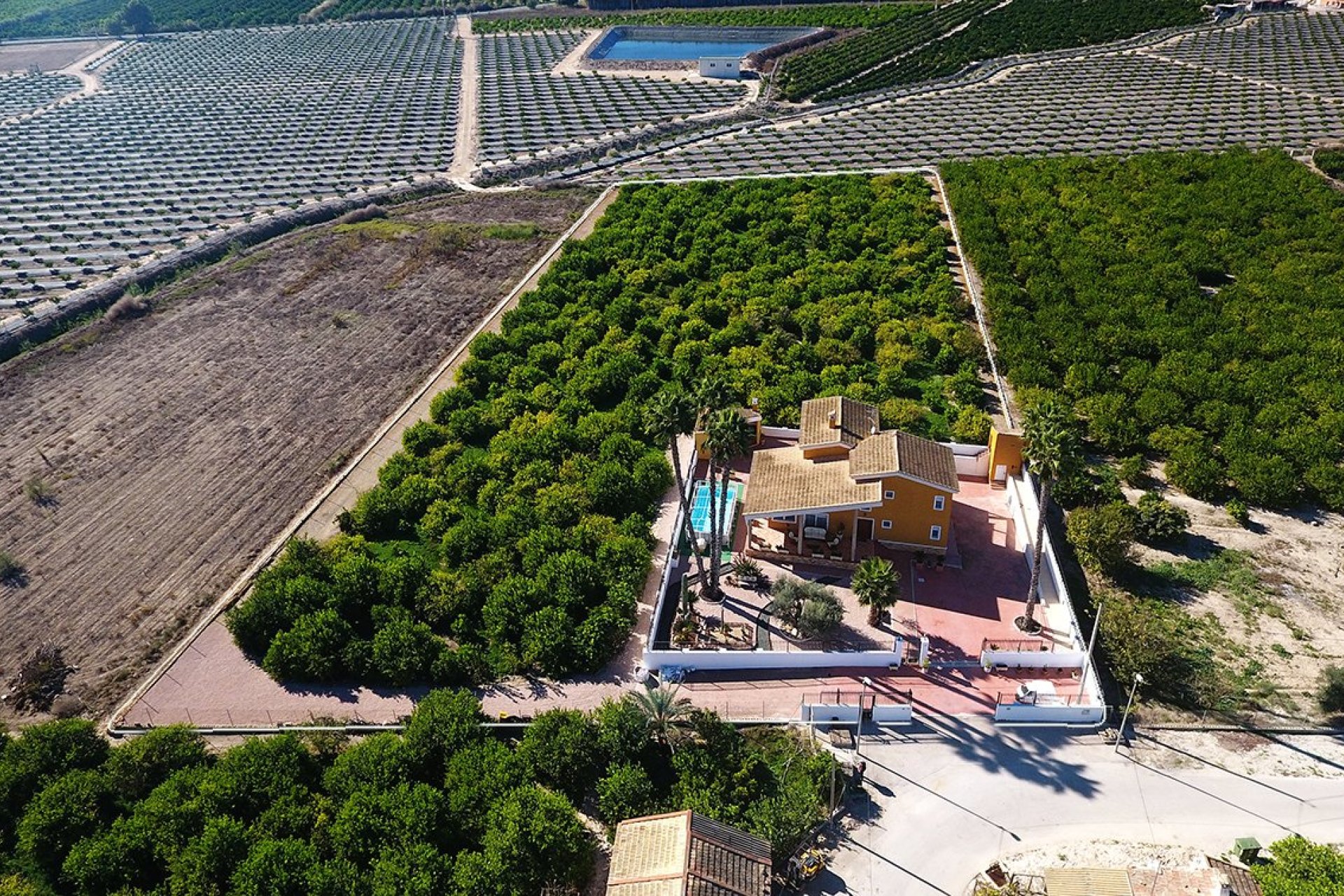 Revente - Finca -
Orihuela