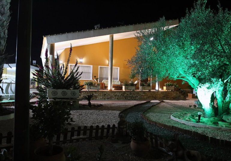 Revente - Finca -
Orihuela