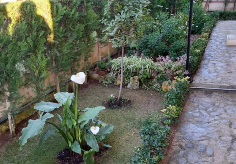 Revente - Villa -
Marrachí - Mallorca