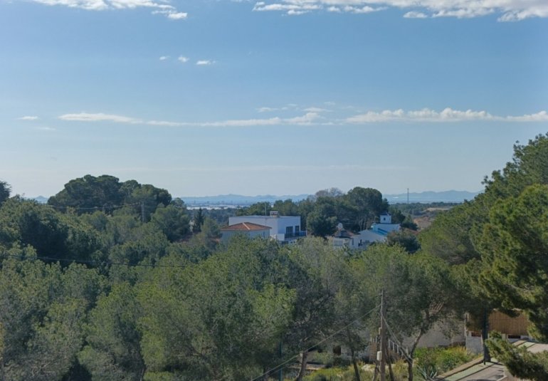 Revente - Villa -
Pinar de Campoverde