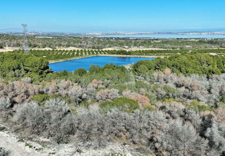 Revente - Villa -
Villamartin