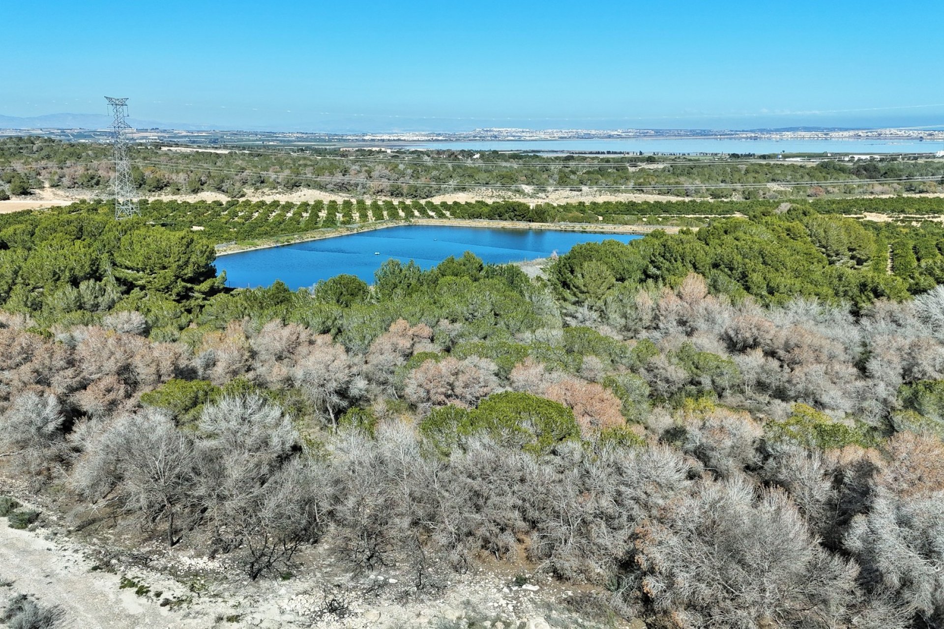 Revente - Villa -
Villamartin