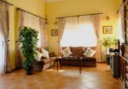 Revente - Finca -
Orihuela