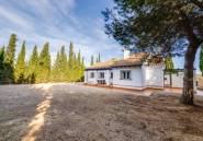 Nieuwbouw Woningen - detached -
Fuente Alamo