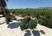 Revente - Country House -
Albatera