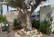 Nouvelle construction - low-bungalow -
Torrevieja