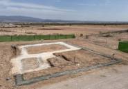 Nouvelle construction - detached -
Fuente Alamo