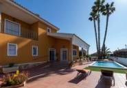 Revente - Finca -
Orihuela