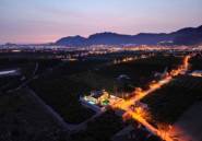 Revente - Finca -
Orihuela