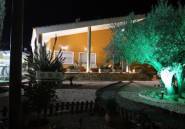 Revente - Finca -
Orihuela